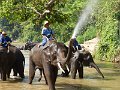 Chiang Mai P0124 Maetaman Elephant Camp